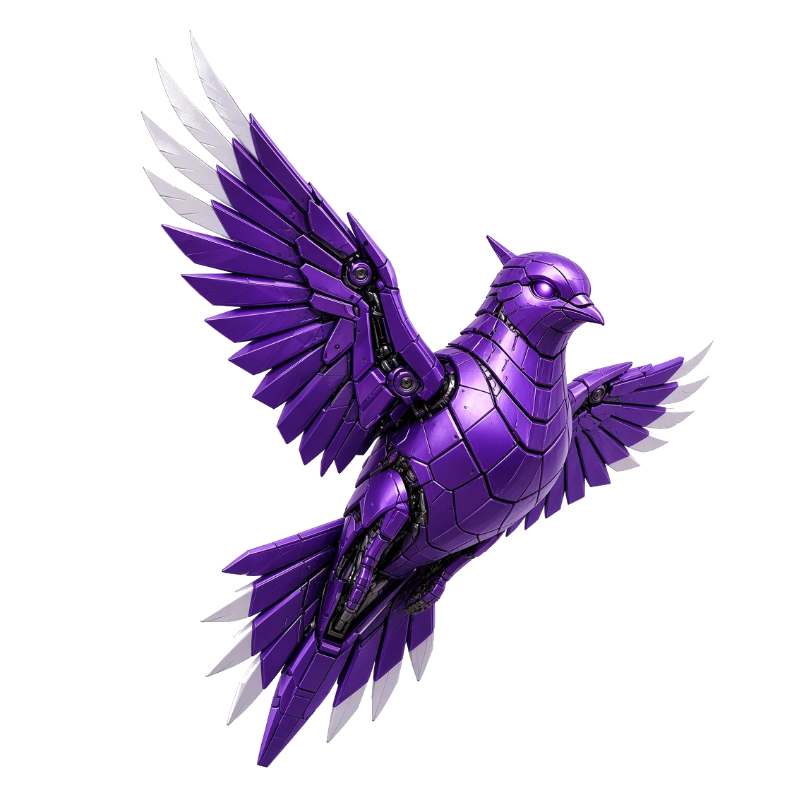 Bird 03 purple pigeon